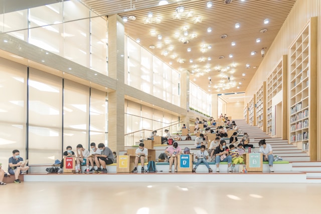 Seltronamovia imagem 3